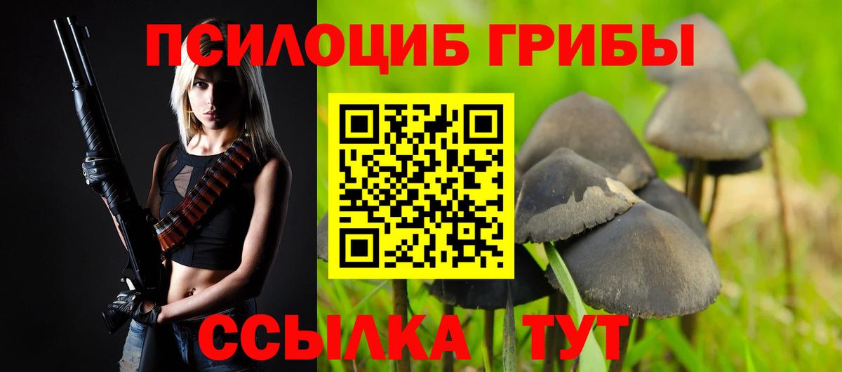 Галлюциногенные грибы Cubensis  Вход с VPN  Чехов 