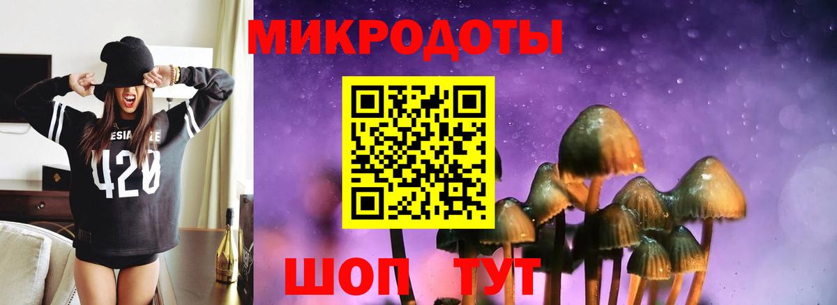 Галлюциногенные грибы MAGIC MUSHROOMS Чехов